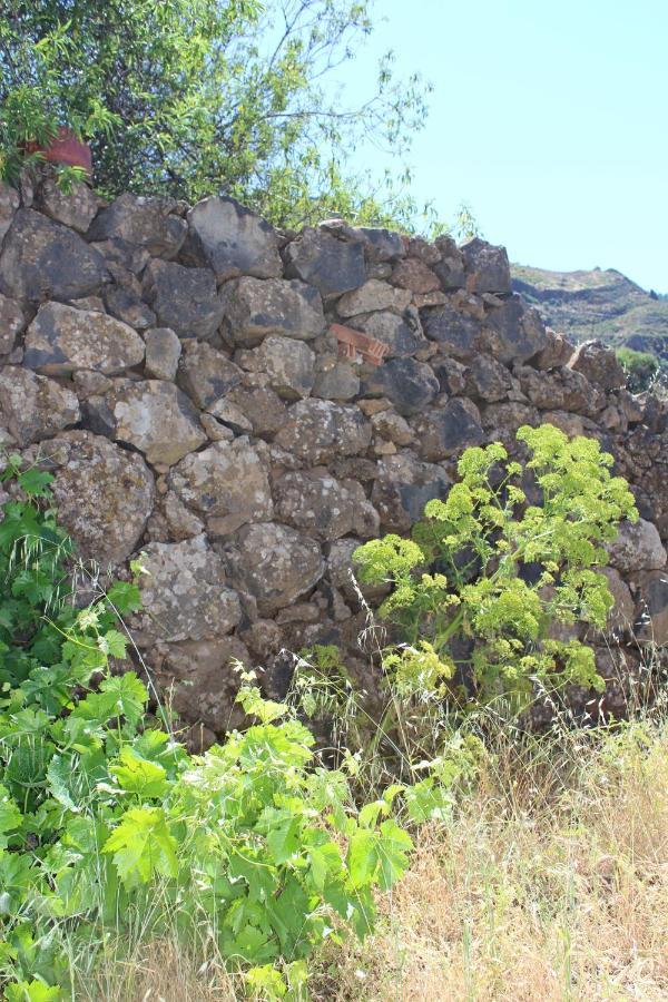 Villa Tejeda Parque Rural el Nublo Las Palmas de Gran Canaria Exterior foto