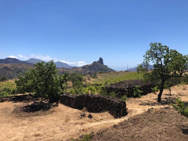 Villa Tejeda Parque Rural el Nublo Las Palmas de Gran Canaria Exterior foto