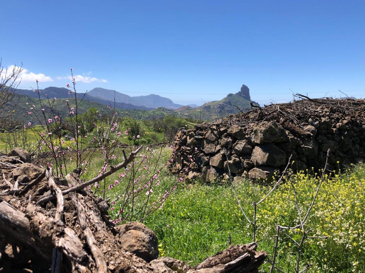 Villa Tejeda Parque Rural el Nublo Las Palmas de Gran Canaria Exterior foto